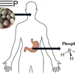 مسمومیت با قرص برنج